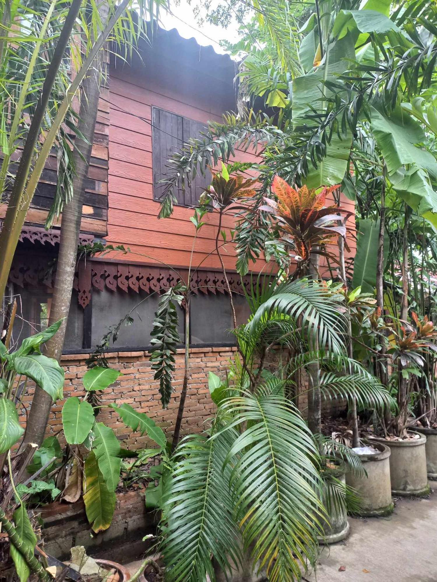 Teak House Chiang Mai Ξενοδοχείο Εξωτερικό φωτογραφία